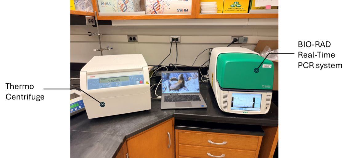 BSL2 lab-1